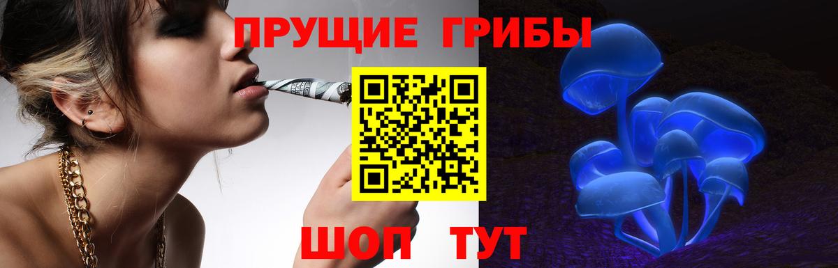 Анапа  Псилоцибиновые грибы мицелий  Вход с VPN 